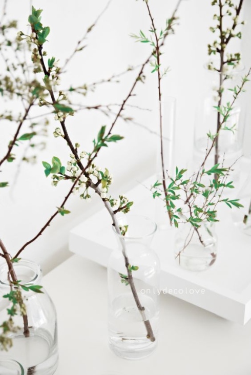 tao-diem-nhan-cho-can-nha-them-sac-xuan